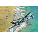 Maquette Micro Wings Messerschmitt Bf109E 