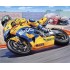 Maquette Honda RC 211C Biaggi 2003