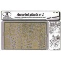 Plantes, assortiment N°1