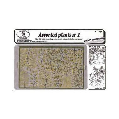 Plantes, assortiment N°1