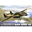 Maquette Northrop P-61A Black Widow Glass Nose