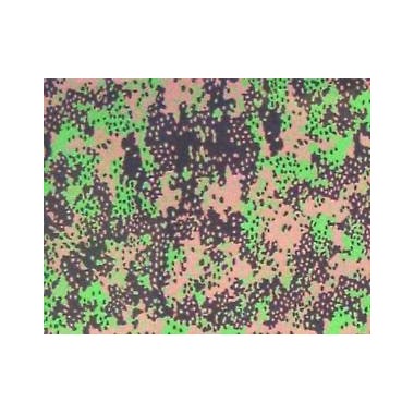 Shinsengumi MCD001 Decalques Camouflage Pattern SS Plane Tree (Spring ...