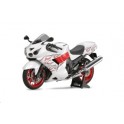 Maquette Kawasaki Ninja ZX-14 Special Color Edition