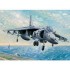 Maquette Harrier II AV-8B, Epoque moderne