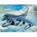 Maquette AV-8B Harrier II Plus, Epoque Moderne