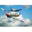 Maquette Curtiss P-40B Warhawk, 2ème GM