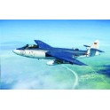 Maquette Hawker "Seahawk" MK. 100/101, Epoque moderne