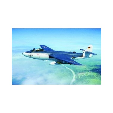 Maquette Hawker "Seahawk" MK. 100/101, Epoque moderne