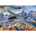 Maquette F/A-18F Super Hornet