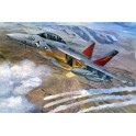 Maquette EA-18G Growler