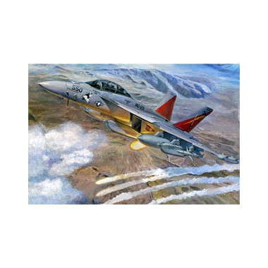Maquette EA-18G Growler Maquette EA-18G Growler