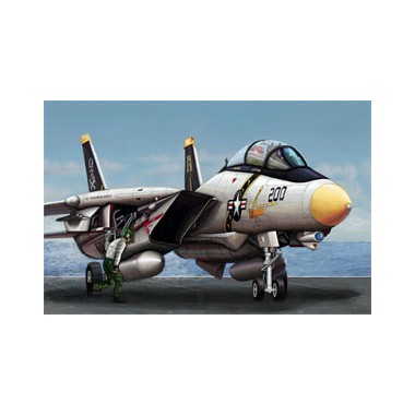 Maquette F-14A Tomcat