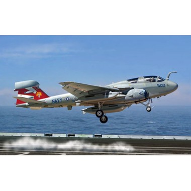 Maquette Grumman EA-6B Prowler