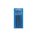 Pinceaux Painta Aqua, set de 5 pinceaux