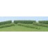 Haies taillées rondes vert moyen / vert clair