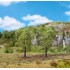 Ormes, 100 mm