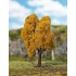 Erable Premium, Feuillage d'automne, 135 mm