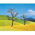 Arbres dénudés 70 à 120 mm