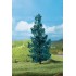 Sapins bleus 50 à 70 mm