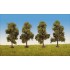 Arbres fruitiers