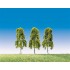 Bouleaux pleureurs 90 mm