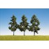 Arbres fruitiers 110 mm