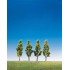 Bouleaux, 90 mm