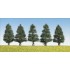 Sapins 50 mm