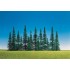 Sapins assortis