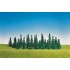 Sapins assortis