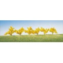 Forsythias en fleurs 40 mm