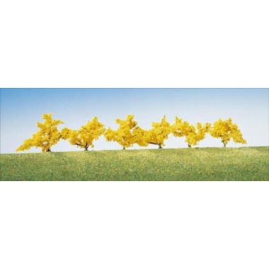 Forsythias en fleurs 40 mm