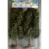 Chenes blancs 100 mm