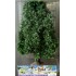 Hetre 140 mm