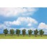 Arbres fruitiers verts