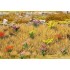 Plantes Fleuries, 40 pièces