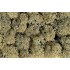 Lichens gris, 35 g. 