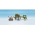 Plantes ornementales en pots