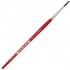 Pinceau Taille 8 Senator