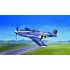 Maquette P-51D Mustang, 2eme GM