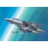 Maquette F-14D Super Tomcat, Epoque moderne