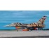 Maquette Lockheed Martin F-16C Block 52 "Tiger Meet" 2003