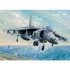 Maquette Harrier II AV-8B, Epoque moderne