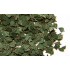  Feuilles de bouleau couleur printemps et été 