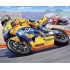  Maquette Honda RC 211C Biaggi 2003 
