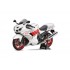  Maquette Kawasaki Ninja ZX-14 Special Color Edition 