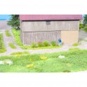 Touffes d'herbe plantes des champs 