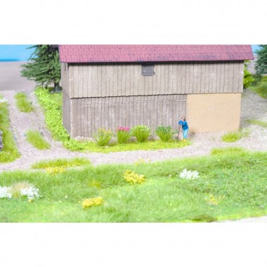 Touffes d'herbe plantes des champs Touffes d'herbe plantes des champs