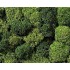  Lichens verts XL, 75 g.  