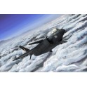 Maquette Chinese J-20 Mighty Dragon
